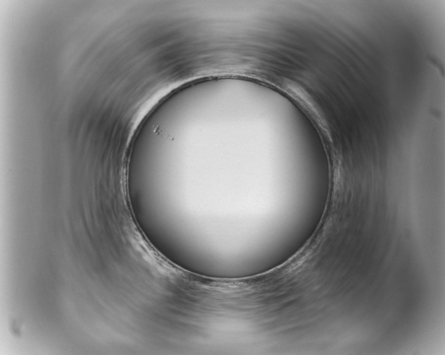 X0000102021340200807180934
