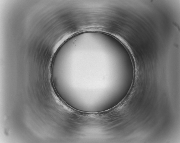 X0000102021341200807180934