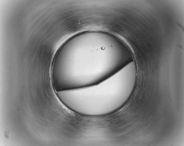 X0000102021343200807180934