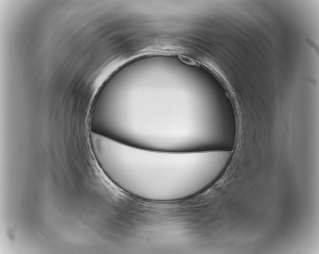 X0000102021344200807180934
