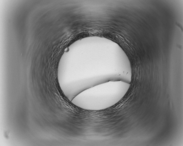 X0000102021345200807180933