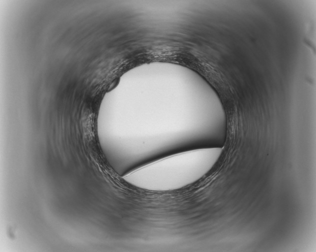 X0000102021346200807180933