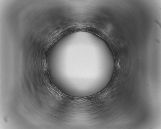 X0000102021348200807180933