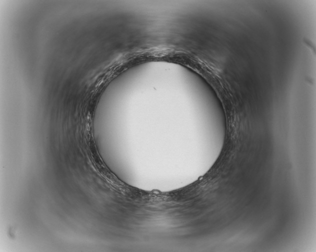 X0000102021349200807180933