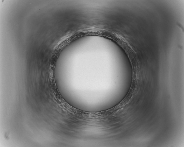 X0000102021350200807180933
