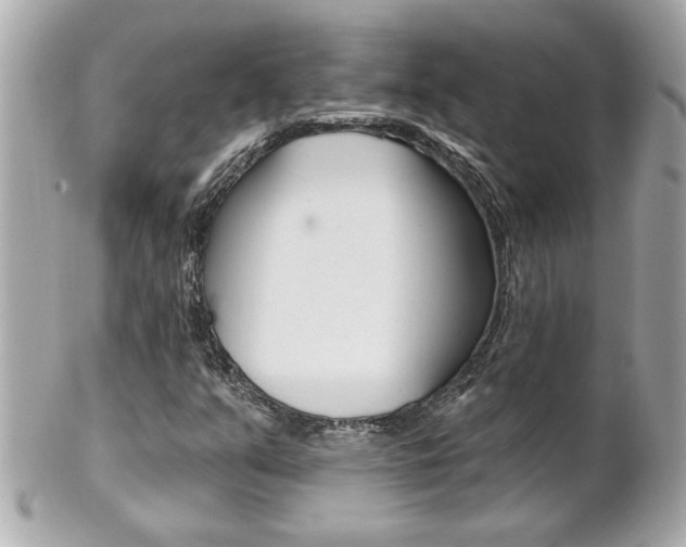 X0000102021351200807180933
