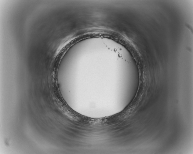 X0000102021352200807180933