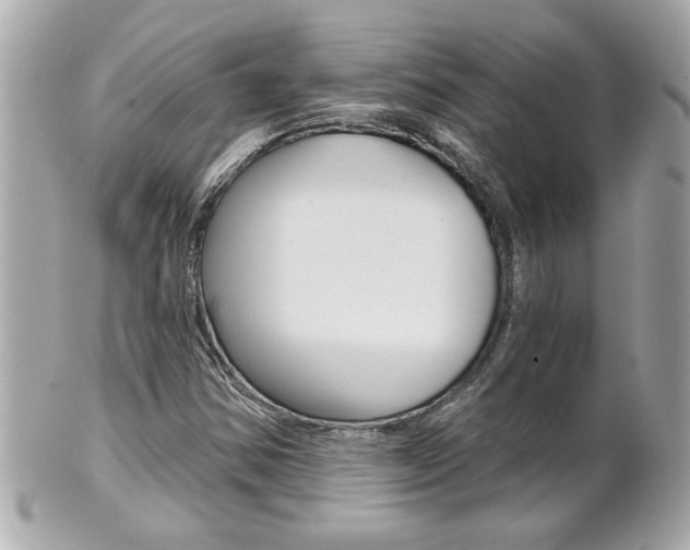 X0000102021354200807180933