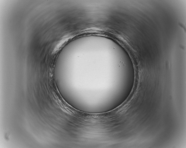 X0000102021355200807180933