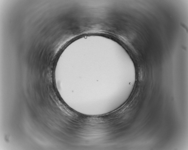 X0000102021356200807180933