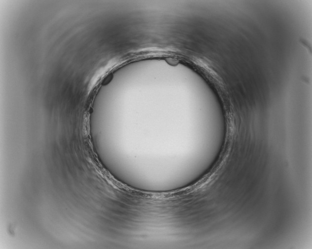 X0000102021357200807180933