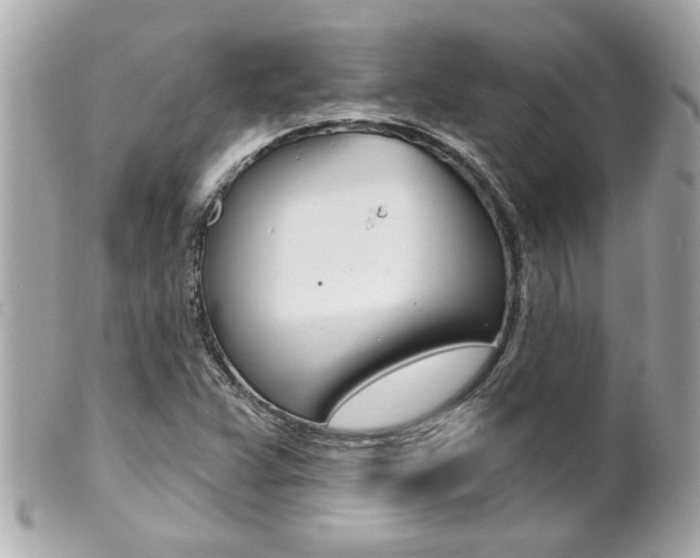 X0000102021359200807180933