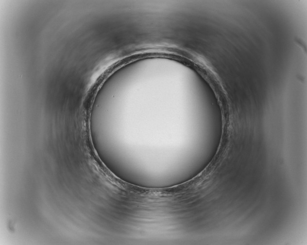 X0000102021360200807180933