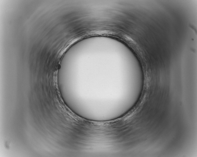 X0000102021361200807180933