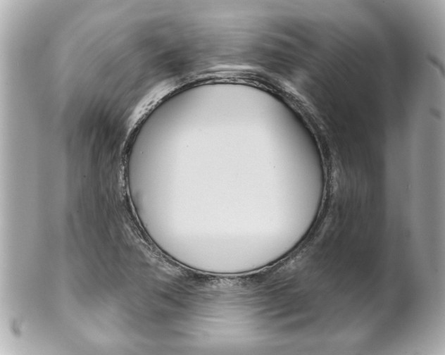 X0000102021362200807180933