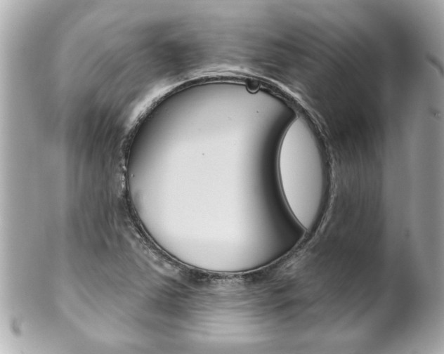 X0000102021363200807180933