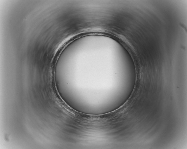 X0000102021364200807180933