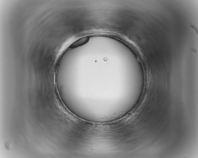 X0000102021365200807180933