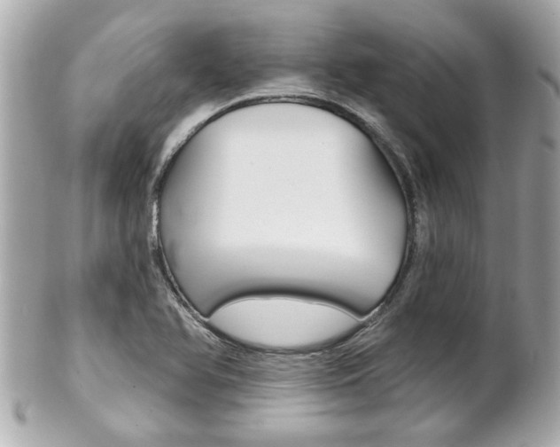 X0000102021366200807180933
