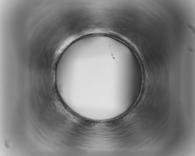 X0000102021367200807180933