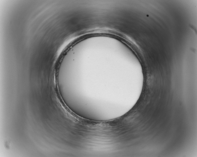 X0000102021368200807180933