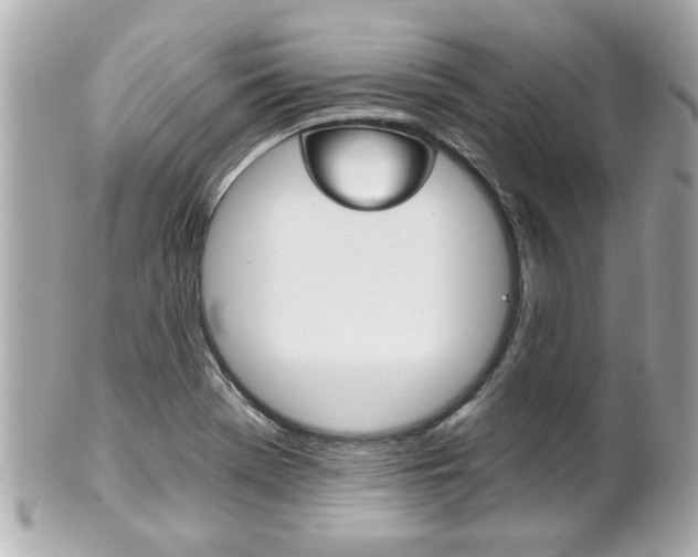 X0000102021369200807180933