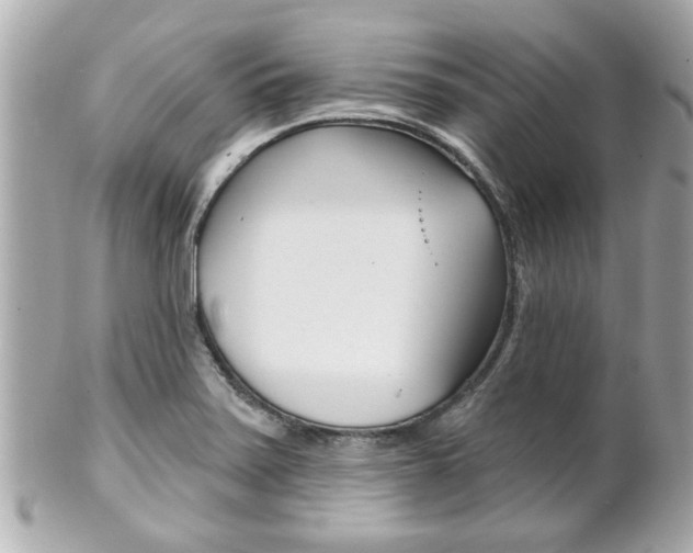 X0000102021371200807180933