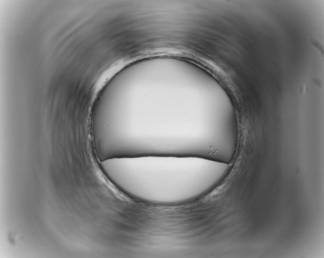 X0000102021373200807180933