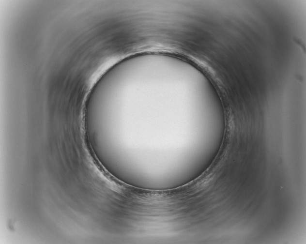 X0000102021375200807180933