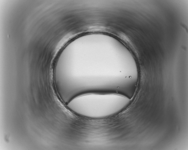 X0000102021376200807180933