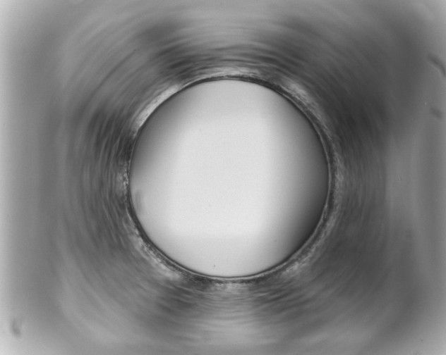 X0000102021377200807180933