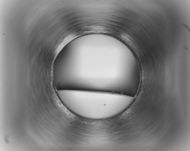 X0000102021378200807180933