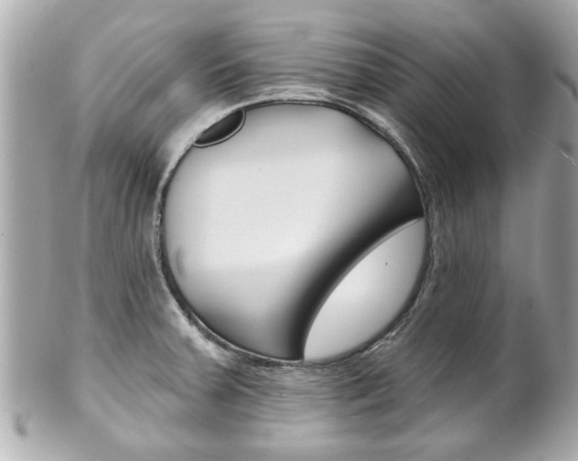 X0000102021379200807180933