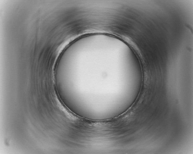 X0000102021380200807180933
