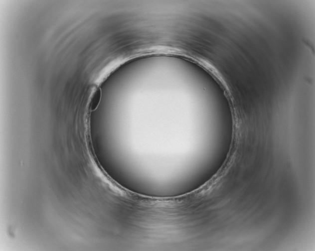 X0000102021381200807180933