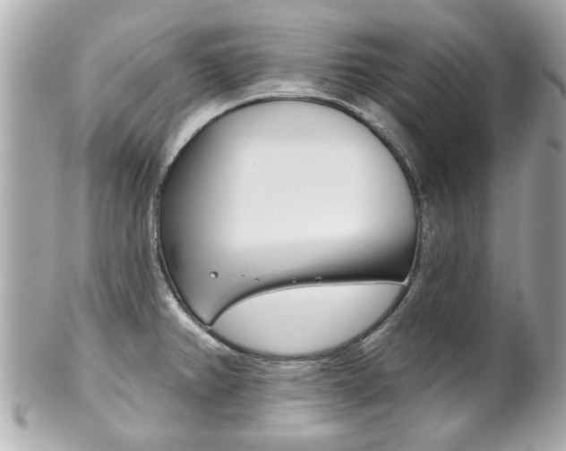 X0000102021382200807180933