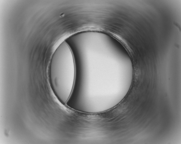 X0000102021383200807180933