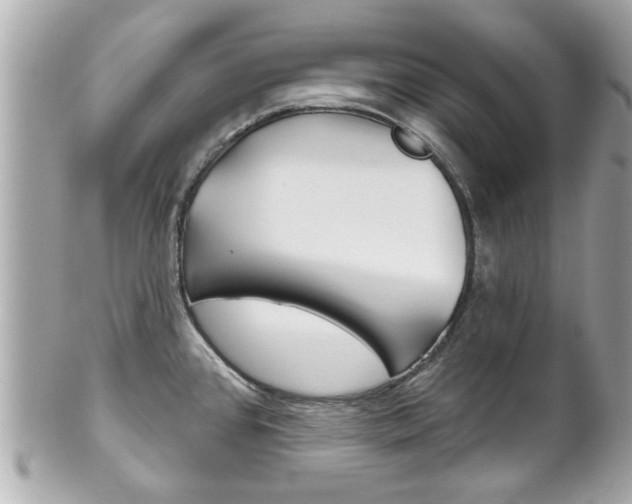 X0000102021384200807180933