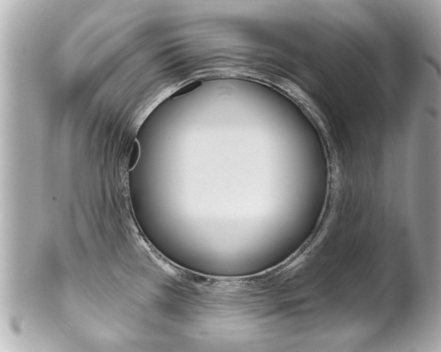 X0000102021385200807180933
