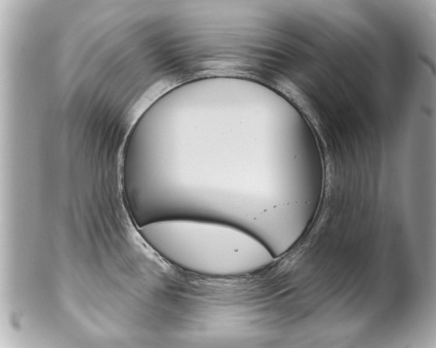 X0000102021386200807180933