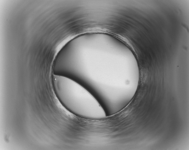 X0000102021387200807180933
