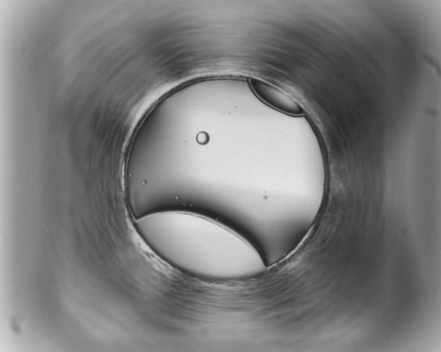 X0000102021388200807180933