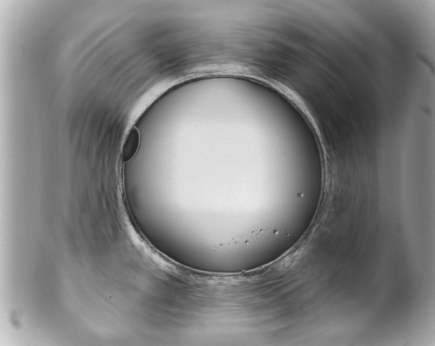 X0000102021389200807180933