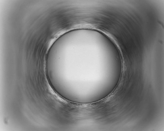 X0000102021390200807180933
