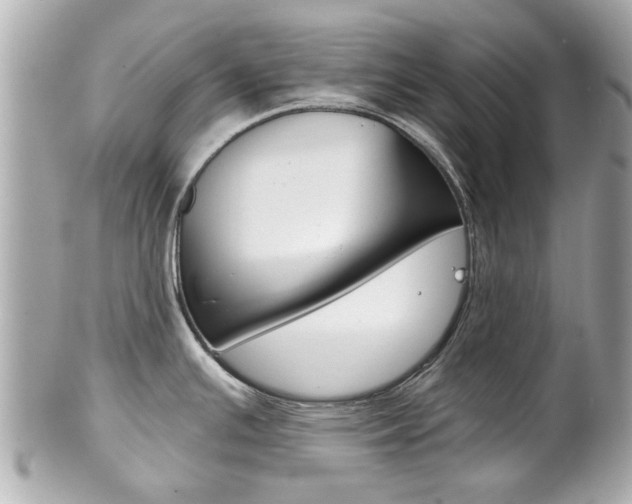 X0000102021391200807180933
