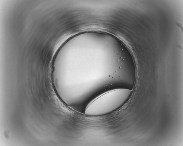 X0000102021392200807180933