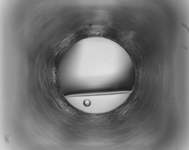 X0000102021394200807180932