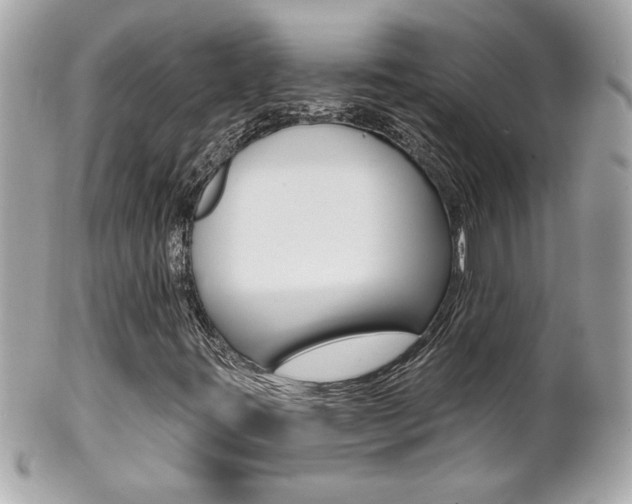 X0000102021395200807180932