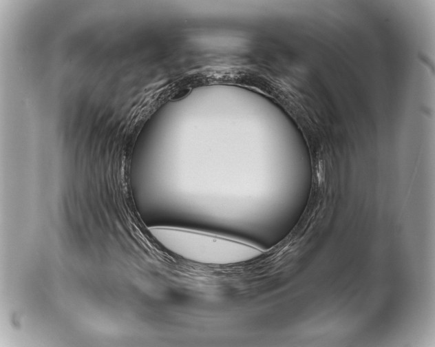 X0000102021396200807180932
