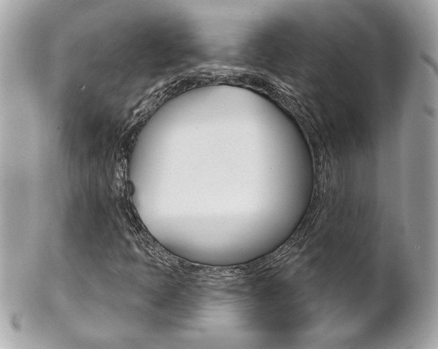 X0000102021397200807180932